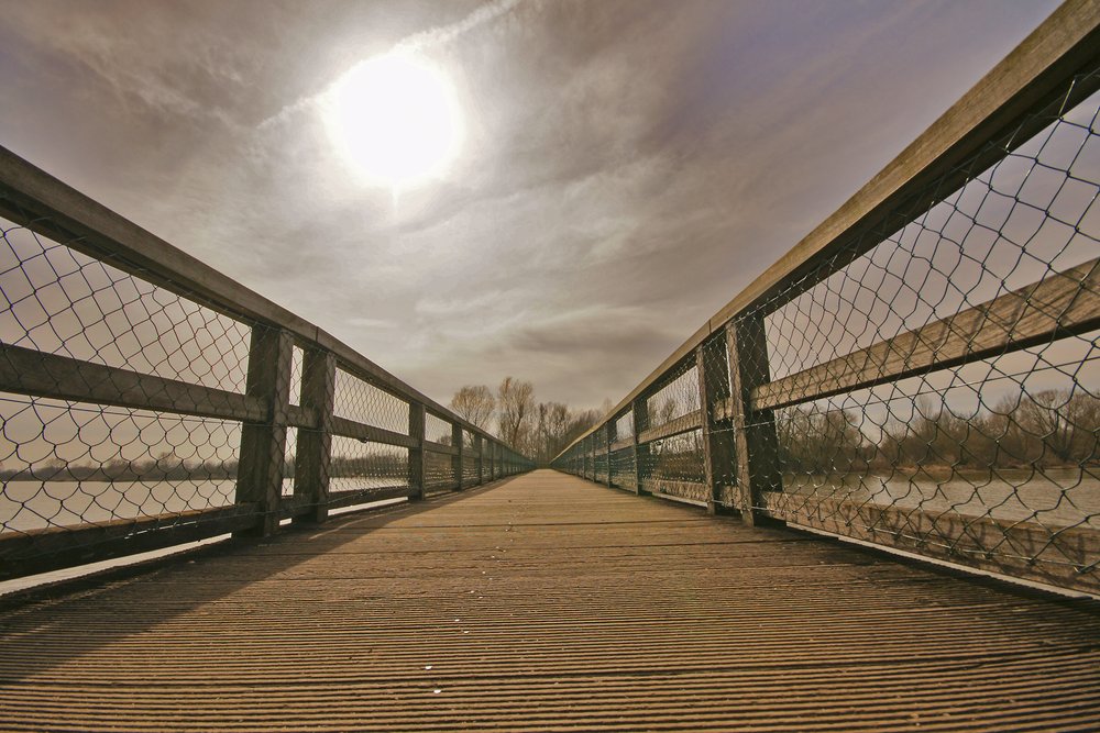 Urkunde - Bezirksfotoschau2011.jpg