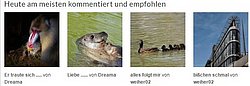 2 Bilder von mir.JPG