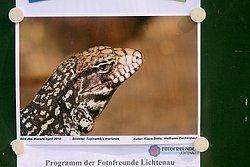 Bild des Monat04.jpg