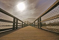 Urkunde - Bezirksfotoschau2011.jpg