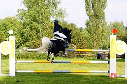 080.JPG