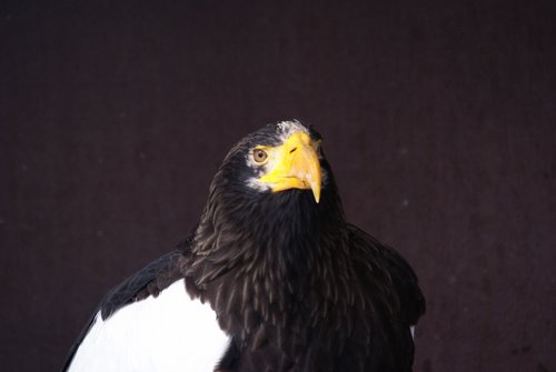 DSC06080.JPG