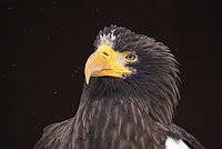 DSC05887.JPG