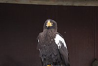 DSC05889.JPG