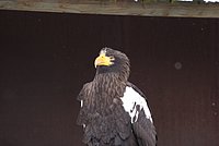 DSC05890.JPG