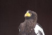 DSC05891.JPG