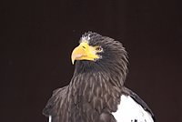 DSC05892.JPG