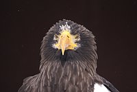 DSC05893.JPG