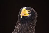 DSC05944.JPG