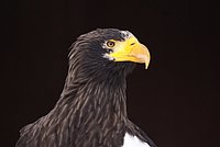 DSC05947.JPG