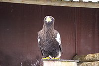 DSC05949.JPG