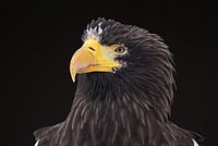 DSC05993.JPG