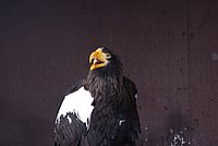 DSC06078.JPG