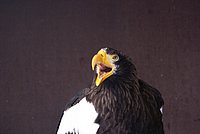 DSC06079.JPG