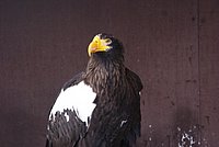 DSC06081.JPG
