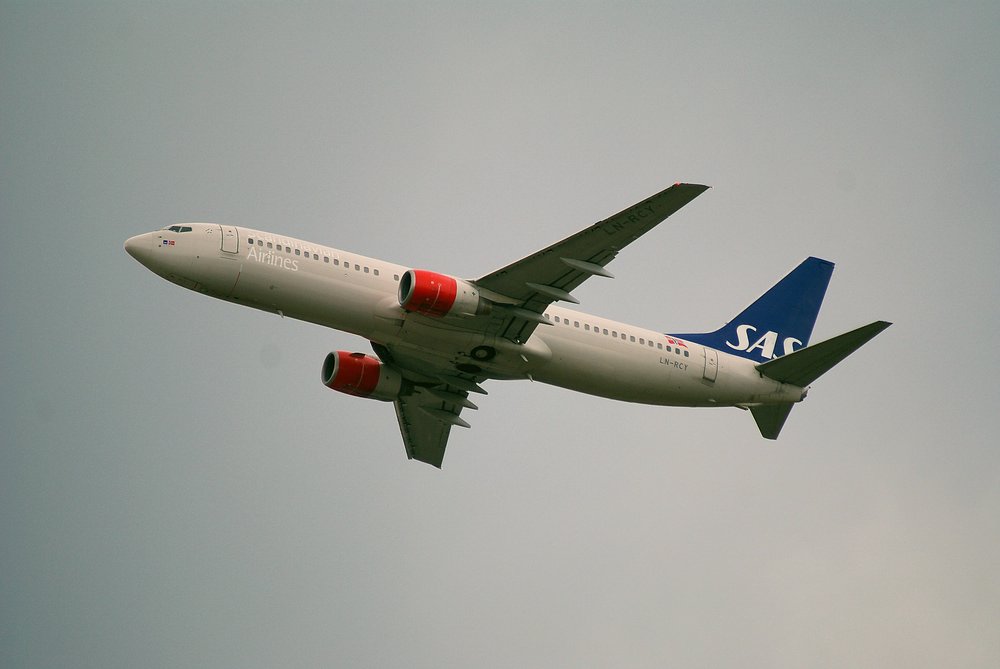 LN-RCY.JPG
