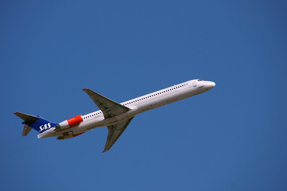 LN-RML-1.JPG