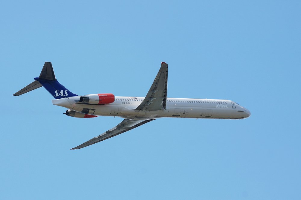 LN-RMM-1.JPG
