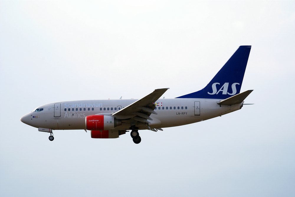 LN-RPY.JPG