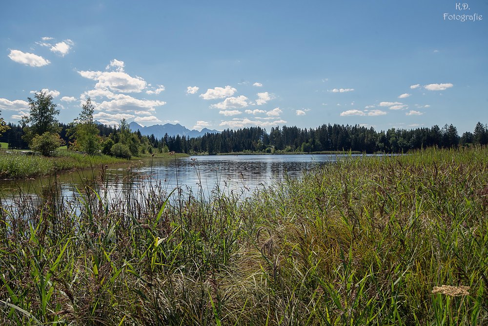 Hegratsriedensee.jpg