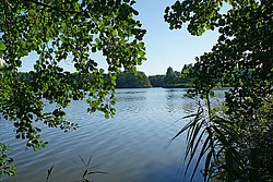 Rinssee.jpg