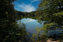 Stettner-See.jpg