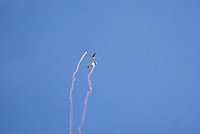 DSC02969.JPG