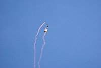 DSC02970.JPG