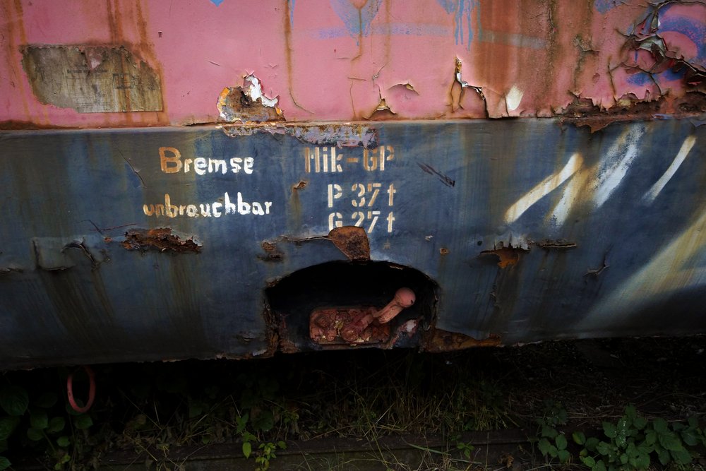 da hat jemand wohl recht.jpg