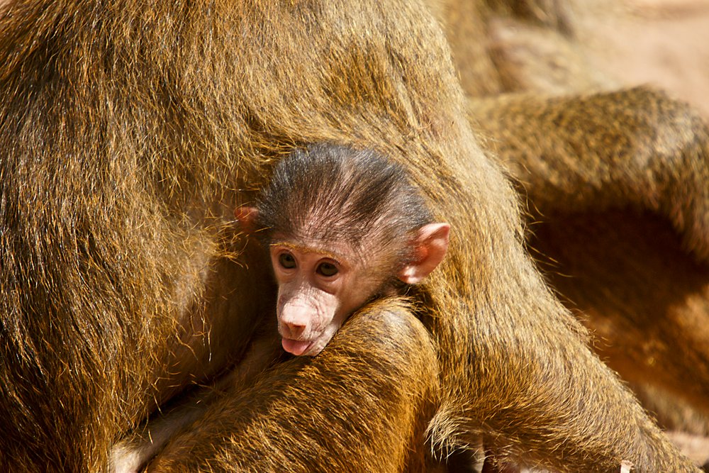im Schwitzkasten.jpg