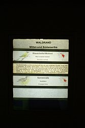 Sonnenralle-3.JPG