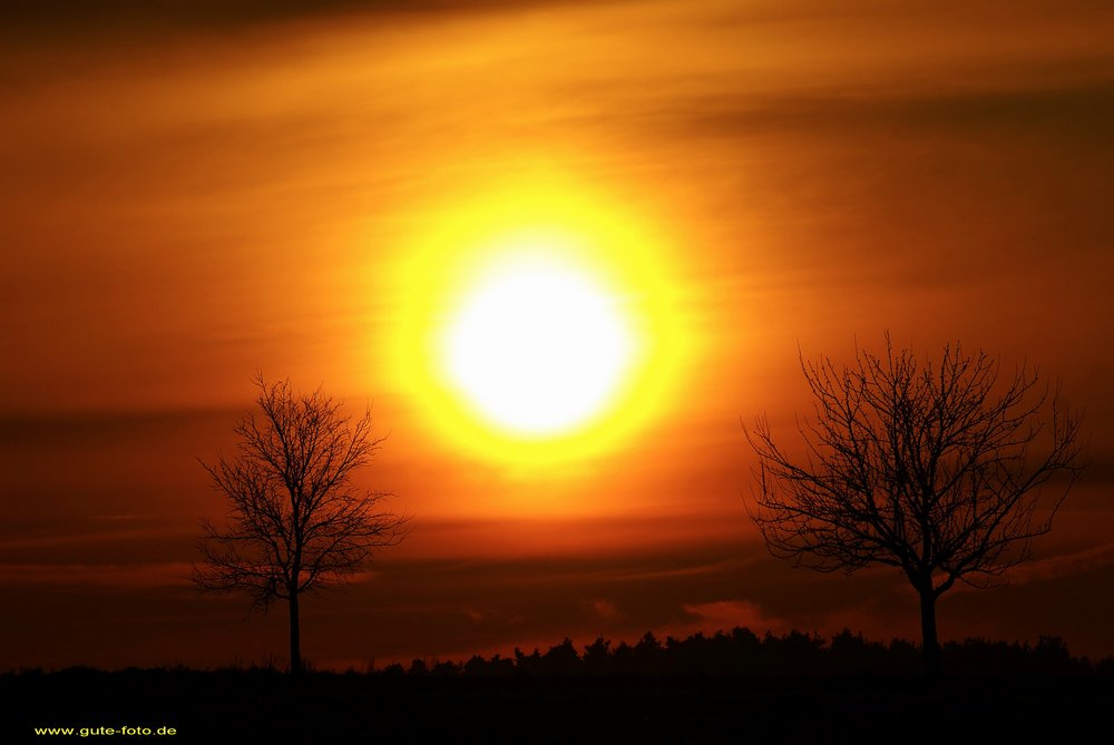 Feuerball zwischen den Bäumen1.jpg