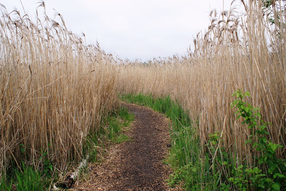 Weg-02.JPG