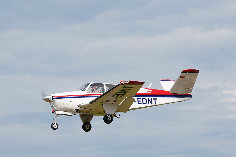 D-EDNT.jpg