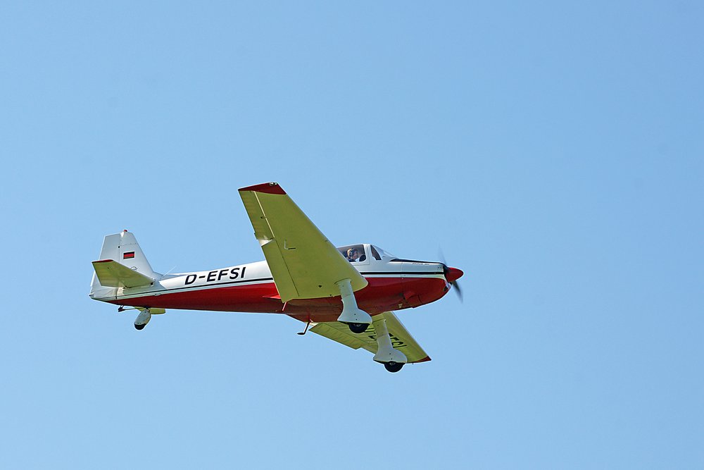 D-EFSI.jpg