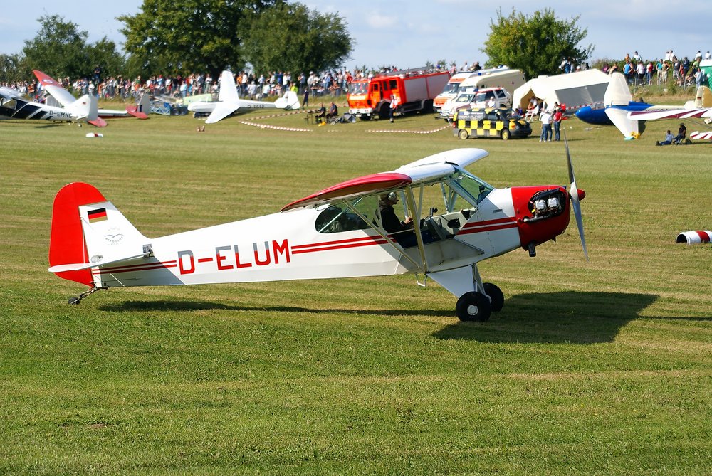 D-ELUM.JPG