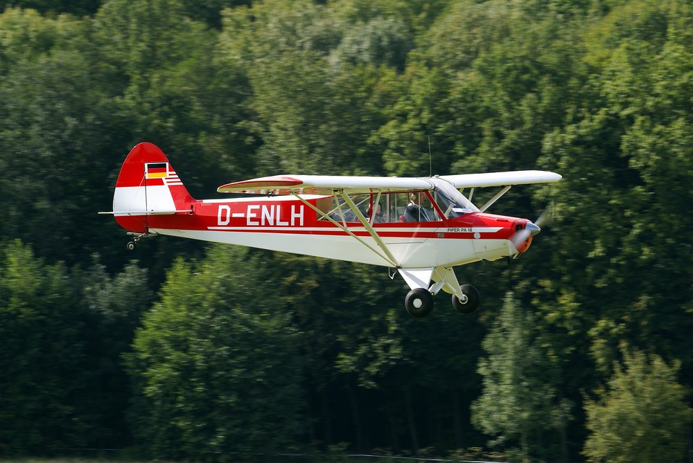 D-ENLH.JPG