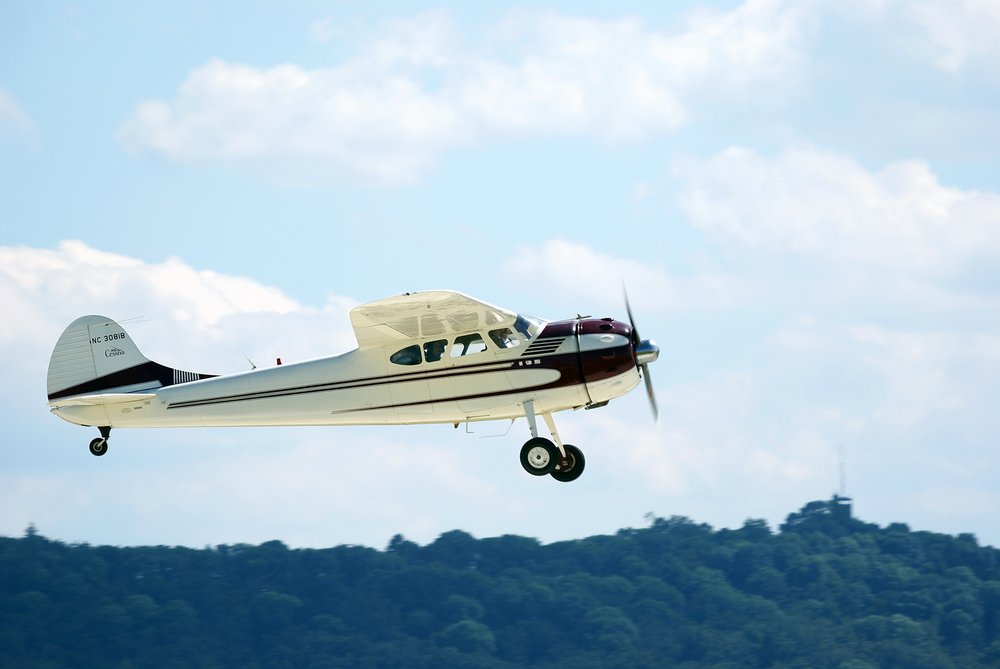 NC-3081B.JPG