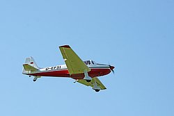 D-EFSI.jpg