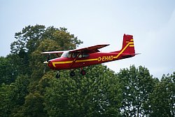 D-EHAD.jpg