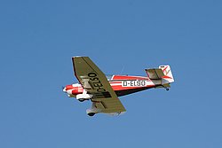 D-ELSO.jpg