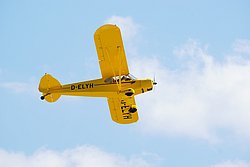 D-ELYH.JPG