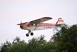 D-ENUT.JPG