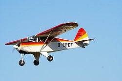 D-EPCT.JPG