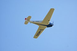 D-MOIO.JPG