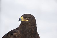DSC05884.JPG