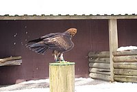 DSC05956.JPG