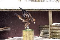DSC05959.JPG