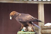 DSC05967.JPG