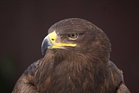 DSC05991.JPG